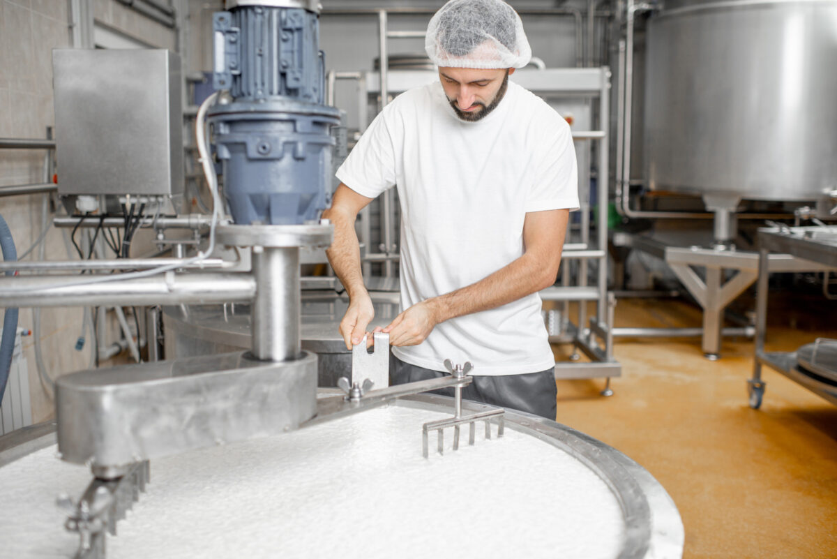 Homme mélangeant le lait dans la cuve en inox pendant le processus de fermentation à la fabrication du fromage.